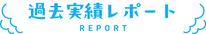 過去実績レポート